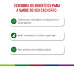 Ração Royal Canin Mini Indoor Adult Adulto Pequeno 2,5kg
