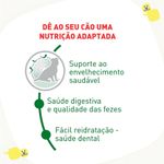 Ração Royal Canin Mini Indoor Senior Adulto 1kg