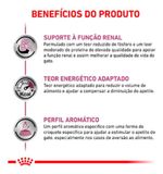 Ração Royal Canin Renal Gatos Adultos 10,1 Kg