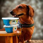 Ração Úmida Cães Fórmula Natural Frango A Moda Caip 270g