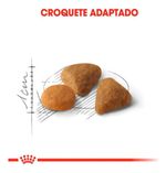 Royal Canin Exigent 1,5 Kg