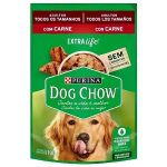DOG CHOW ADLT TDTM CARNE 100G
