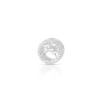 CHARM DE PRATA SIGNO REDONDO CAPRICÓNIO COM 56 ZIRCONES CRAVEJADOS COM FURO 4.0MM DE DIÂMETRO 21674