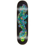 Shape Flip Maple - Pro Model Lucas Rabelo Preto 8.125