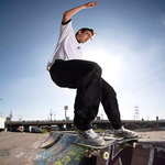 Tênis Vans Skate Ave 2.0