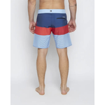 Bermuda Quiksilver Boarshort Everyday Panel Block 20