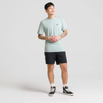 Camiseta Vans Skate Classics Ss Gray Mist