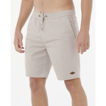 Bermuda Passeio Rip Curl Classic Surf Volley 19
