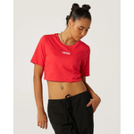 Blusa Vans Manga Curta Cropped Flying V Glacial Slate 