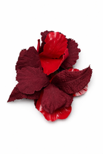 BROCHE ORQUIDEA