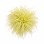 BROCHE PLUMAS