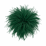 BROCHE PLUMAS