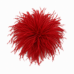 BROCHE PLUMAS