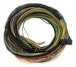 CHICOTE MAIN FT250/FT300/FT350/FT400 6M-0115