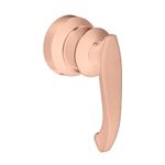 Acabamento para Registro RB887 Deca e Meber Rose Gold