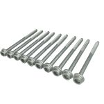 Kit 10 Parafuso Cabeçote Vw Ea111 Power Gol Fox Polo Saveiro