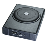 Caixa Amplificadora Compacta Ts-500 10 Polegadas 100w Corpo em Madeira