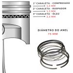 PISTÃO COM ANÉIS C3 206 207 1.4 8V L4 RIOSULENSE (584042014)