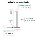 Jogo Válvulas Mahle Admissão Escape Clio Kangoo 1.6 16v