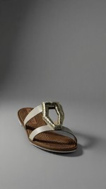 Moleca Rasteira
