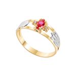 Anel Ouro 18k Formatura AG055 Zircônia
