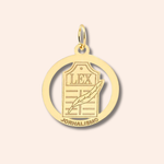 Pingente Ouro 18k Formatura 516486