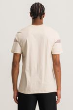 CAMISA BÁSICA ADULTO SIENA 