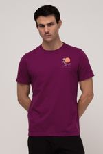 CAMISA BÁSICA ADULTO PRECIPICE 