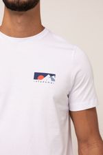 CAMISA BÁSICA ADULTO BLUEMONT