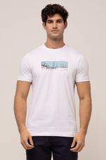 CAMISA BÁSICA ADULTO BREEZE 
