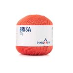 FIO BRISA 100G PINGOUIN