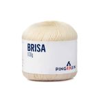FIO BRISA 100G PINGOUIN