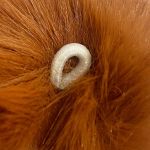 POMPOM PELUCIA 5CM NYBC