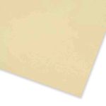 FOLHA DE EVA LISO 2MM (40CM X 60CM) MAKE +