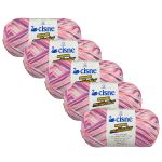 KIT LA RENDIDORA CISNE MULTICOLOR 100G LINHAS CORRENTE COM 5 UNIDADES