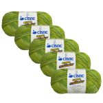 KIT LA RENDIDORA CISNE MULTICOLOR 100G LINHAS CORRENTE COM 5 UNIDADES