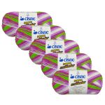KIT LA RENDIDORA CISNE MULTICOLOR 100G LINHAS CORRENTE COM 5 UNIDADES