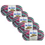 KIT LA RENDIDORA CISNE MULTICOLOR 100G LINHAS CORRENTE COM 5 UNIDADES