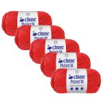 KIT LA PREMIUM CISNE 100G LINHAS CORRENTE 5 UNIDADES