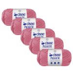KIT LA PREMIUM CISNE 100G LINHAS CORRENTE 5 UNIDADES