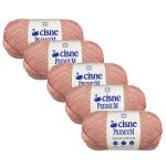 KIT LA PREMIUM CISNE 100G LINHAS CORRENTE 5 UNIDADES