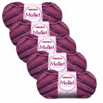 KIT LA MOLLET 100G CIRCULO COM 5 UNIDADES