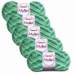 KIT LA MOLLET 100G CIRCULO COM 5 UNIDADES