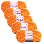 KIT LA MOLLET 100G CIRCULO COM 5 UNIDADES