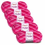 KIT LA MOLLET 100G CIRCULO COM 5 UNIDADES