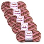 KIT LA MOLLET 100G CIRCULO COM 5 UNIDADES