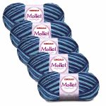 KIT LA MOLLET 100G CIRCULO COM 5 UNIDADES