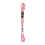 LINHA MEADA ANCHOR MOULINE 8M LINHAS CORRENTE  2/2