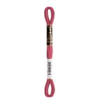 LINHA MEADA ANCHOR MOULINE 8M LINHAS CORRENTE  2/2