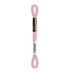LINHA MEADA ANCHOR MOULINE 8M LINHAS CORRENTE  2/2